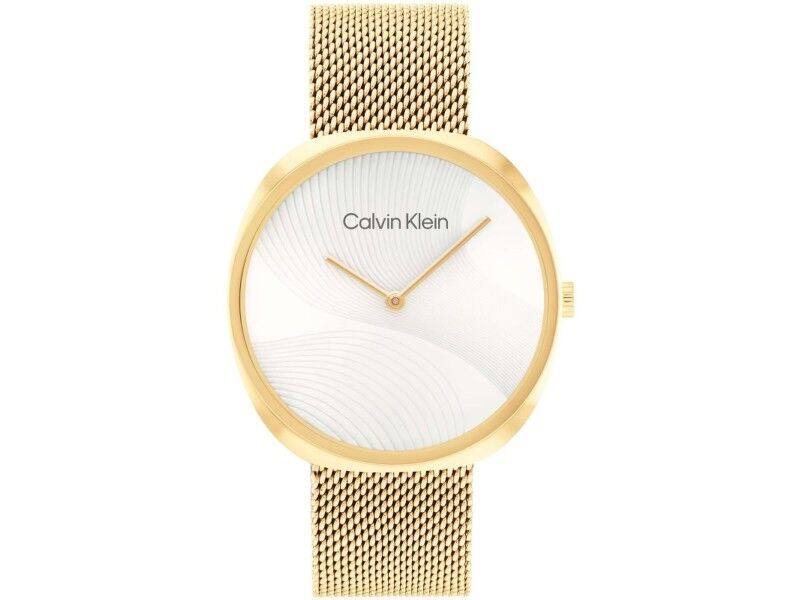 Zegarek Męski Calvin Klein 1685215