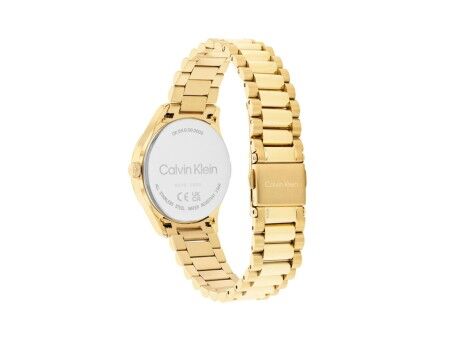 Zegarek Damski Calvin Klein 25200346