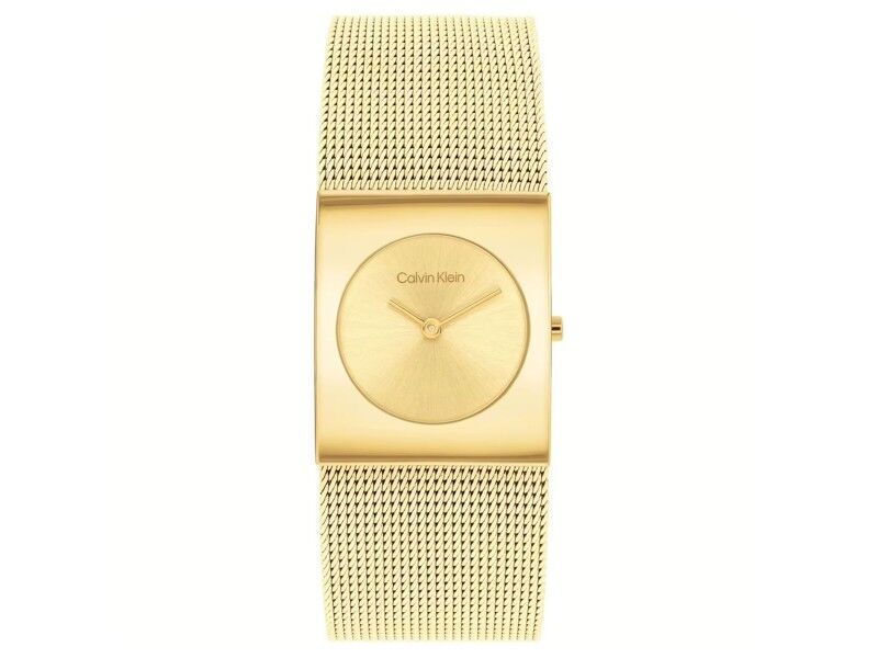 Zegarek Męski Calvin Klein 1693551