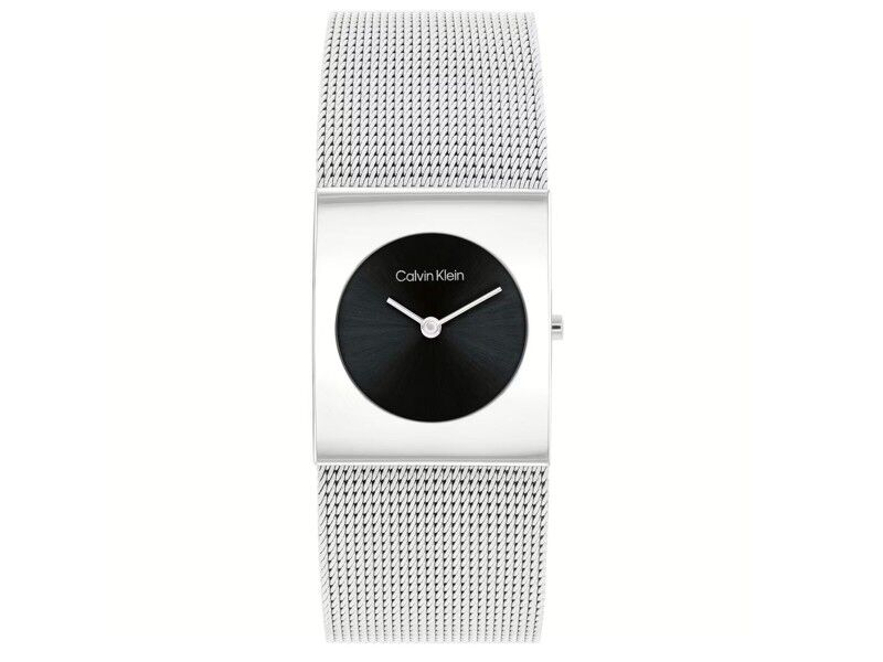 Zegarek Męski Calvin Klein 1693549