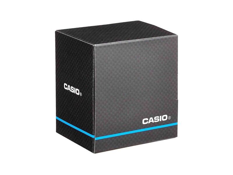 Zegarek Męski Casio WS-1500H-1AVEF