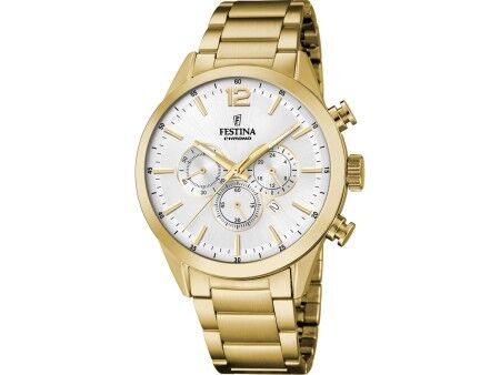 Zegarek Męski Festina F20633/1