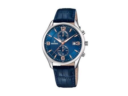 Zegarek Męski Festina F6855/6