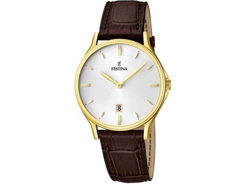 Zegarek Męski Festina F16747/1