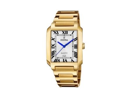 Zegarek Męski Festina F20678/1