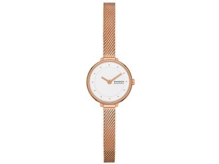 Zegarek Damski Skagen GITTE LILLE (Ø 22 mm)
