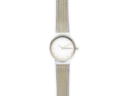 Zegarek Damski Skagen SKW2698