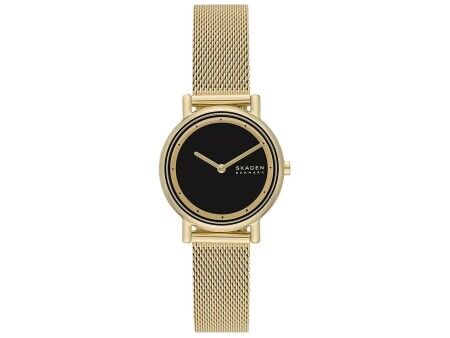 Zegarek Damski Skagen SIGNATUR LILLE (Ø 30 mm)