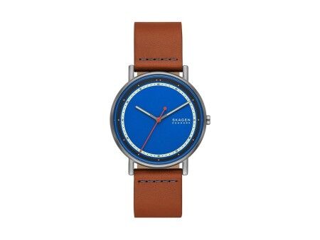 Zegarek Męski Skagen SIGNATUR (Ø 40 mm)