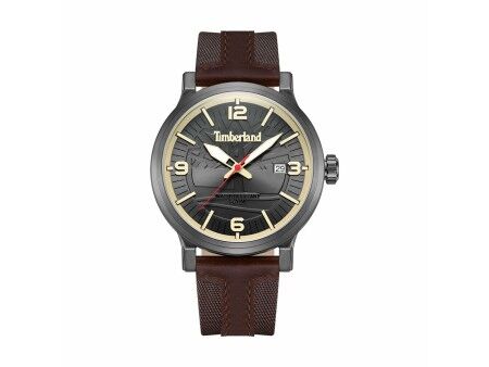 Zegarek Męski Timberland TDWGN0029104 Szary