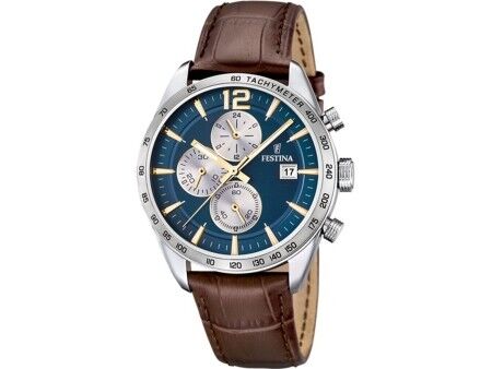 Zegarek Męski Festina F16760/7
