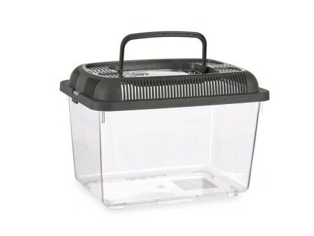 Akwarium Z uchwytem Średni Antracyt Plastikowy 3 L 17 x 16 x 24 cm (12 Sztuk)