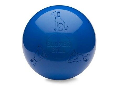Zabawka dla psów Company of Animals Boomer Niebieski (250mm)