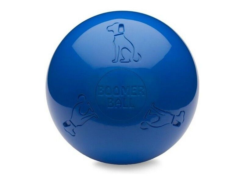 Zabawka dla psów Company of Animals Boomer Niebieski (250mm)