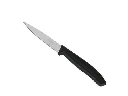 Zestaw Noży Obierająych Quttin Basic 6 Części 19,5 x 2 x 1 cm (12 Sztuk)