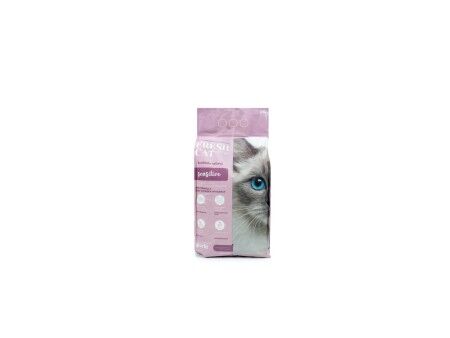 Piasek dla Kota Gloria Premium Sensitive 10 kg 2 Sztuk