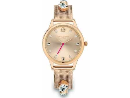 Zegarek Damski Daisy Dixon DD105RGM (Ø 35 mm)
