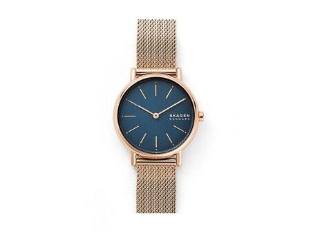 Zegarek Męski Skagen SKW2837