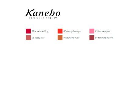 Konturówka do Ust Colours Kanebo
