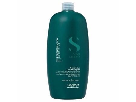 Szampon Alfaparf Milano SEMI DI LINO 1 L