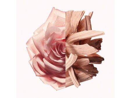 Perfumy Damskie Givenchy IRRESISTIBLE NUDE VELVET EDP 50 ml