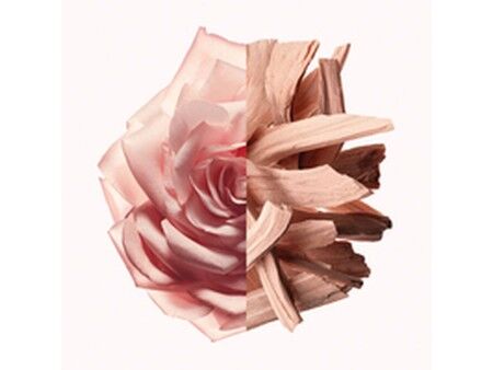Perfumy Damskie Givenchy IRRESISTIBLE NUDE VELVET EDP 50 ml