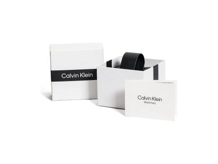 Zegarek Męski Calvin Klein 25200232