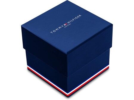 Zegarek Męski Tommy Hilfiger 1792031 Srebrzysty