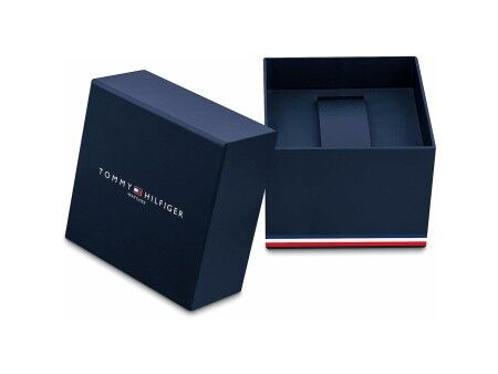 Zegarek Męski Tommy Hilfiger 1792031 Srebrzysty