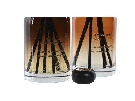 Odświeżacz powietrza Home ESPRIT Nowoczesny 500 ml (2 Sztuk)