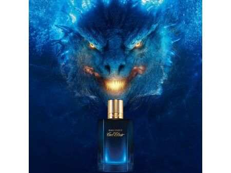 Perfumy Męskie Davidoff COOL ELIXIR 100 ml