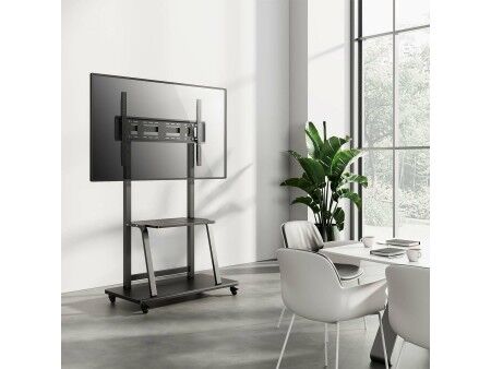 Uchwyt na TV Aisens FT100E-231 37" 100" 150 kg