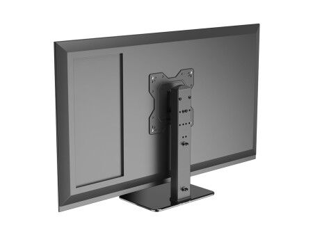 Uchwyt Stołowy do Monitora Neomounts DS45-430BL12 43"