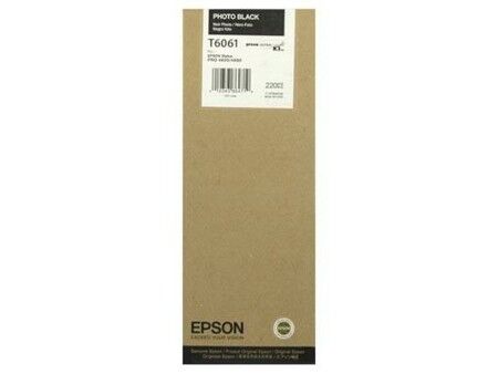 Oryginalny Wkład Atramentowy Epson Cartucho T606100 negro foto Czarny