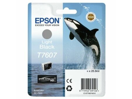 Oryginalny Wkład Atramentowy Epson C13T76074010 Szary