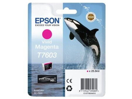 Oryginalny Wkład Atramentowy Epson C13T76034N10 Wielokolorowy Magenta