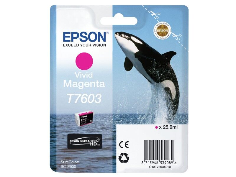 Oryginalny Wkład Atramentowy Epson C13T76034N10 Wielokolorowy Magenta