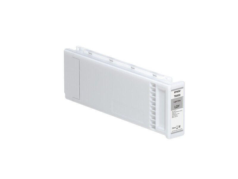 Oryginalny Wkład Atramentowy Epson C13T800900 Szary