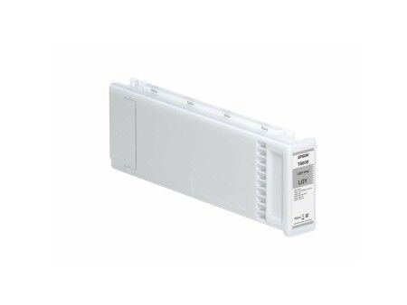 Oryginalny Wkład Atramentowy Epson C13T800900 Szary