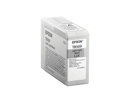 Oryginalny Wkład Atramentowy Epson C13T850900