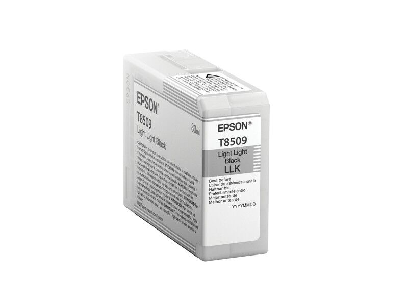 Oryginalny Wkład Atramentowy Epson C13T850900