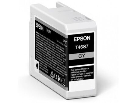 Oryginalny Wkład Atramentowy Epson UltraChrome Pro Czarny Szary 25 ml