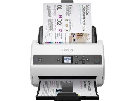 Skaner Epson B11B250401