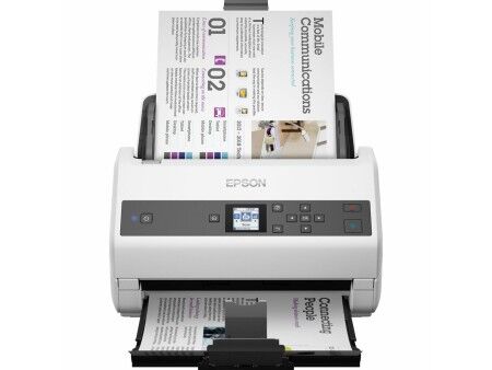 Skaner Epson B11B250401