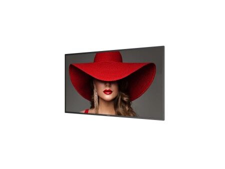 Monitor Videowall Philips D-LINE 50" LCD