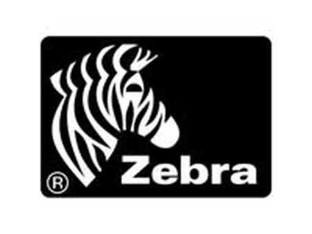 Etykiety do Drukarki Zebra 880269-025D Srebrzysty Ø 25 mm (12 Sztuk)