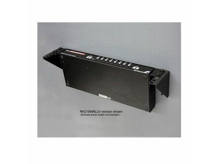 Rack Startech RK319WALLV           Pionowy