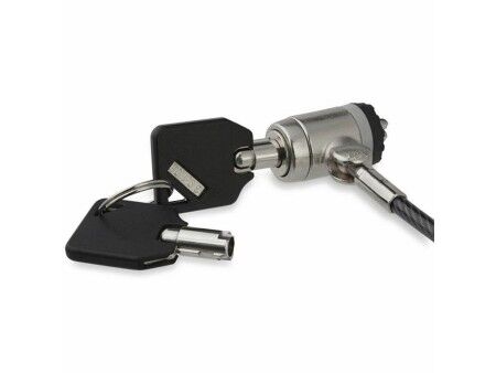 Kabel Bezpieczeństwa Startech LTLOCKKEY 2 m