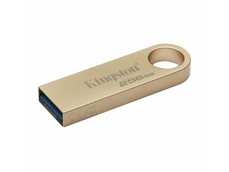 Pamięć USB Kingston DTSE9G3/256GB 256 GB Złoty