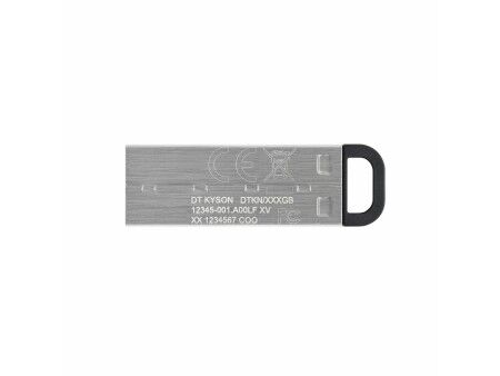 Pamięć USB Kingston DataTraveler Kyson Srebrzysty 512 GB